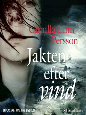 cover image of Jakten efter vind